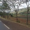036 otr - border to Kigali